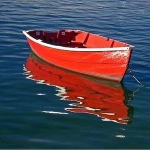 Meet your Posher, Carol